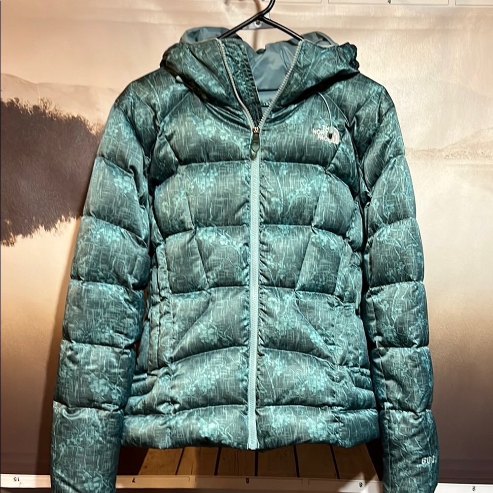 Women’s Destiny North Face 600 fill Goose down ski and snow Coat.